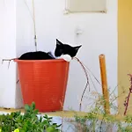 Casa 32 Charming 2 Bedroom Townhouse Close To וילה *