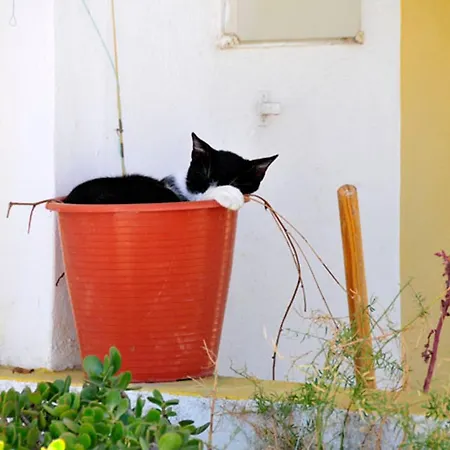 Casa 32 Charming 2 Bedroom Townhouse Close To Villa *