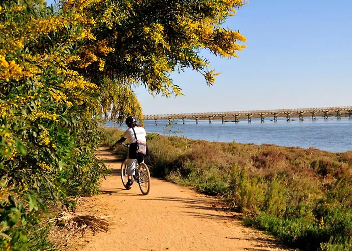 Willa Casa 32 Charming 2 Bedroom Townhouse Close To *